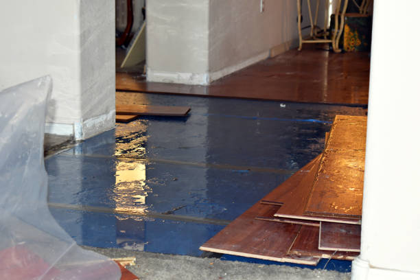Professional Water Damage Restoration technician working in Atlas, MI
